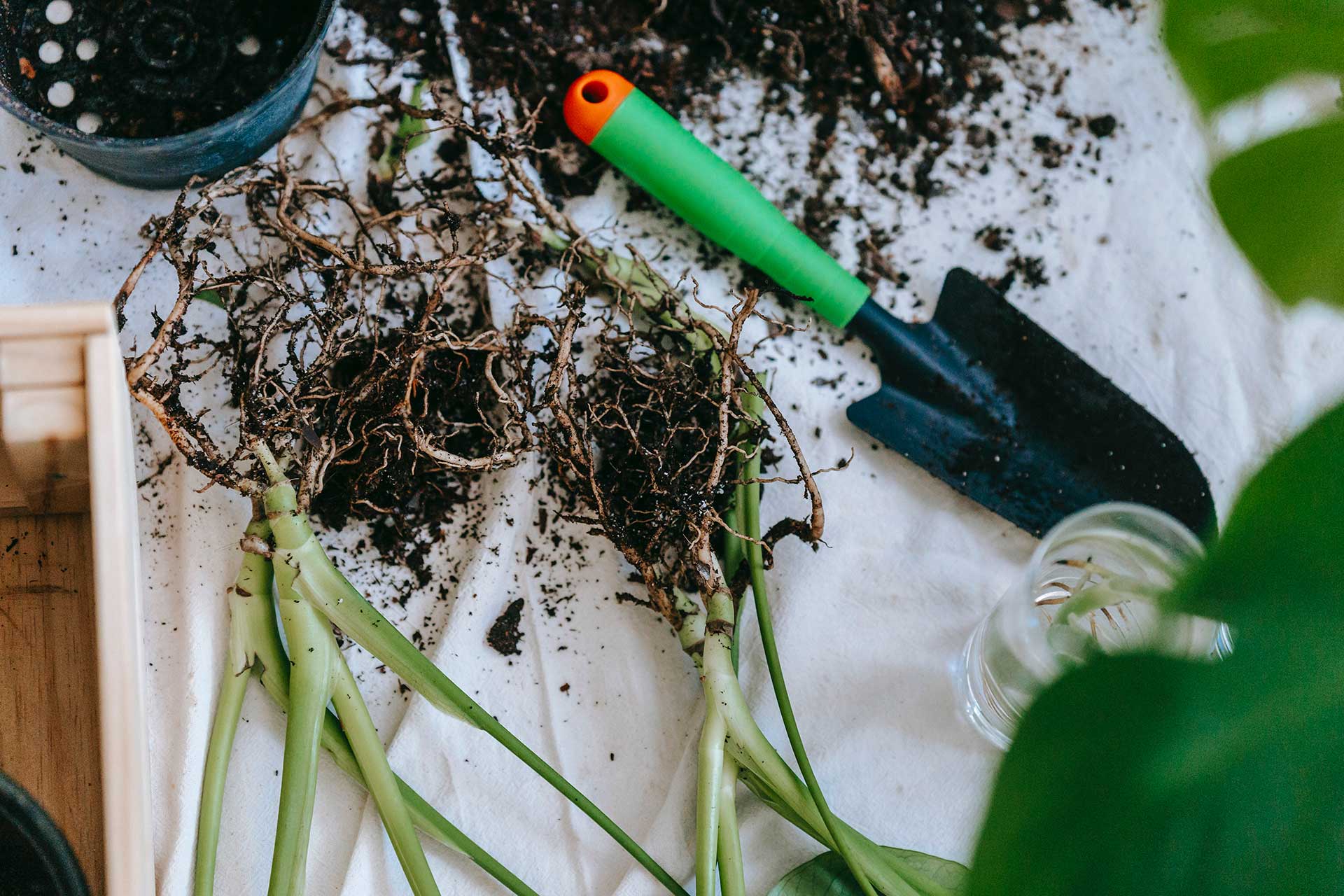 Jardinage : les outils à main qu'il faut avoir - Au coeur des sols